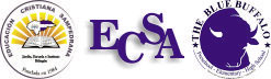 e-ECSA virtual